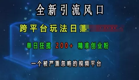 引流风口,跨平台玩法日入上k,单日200+创业粉,一个被严重忽略的视频平台-颜夕资源网-第17张图片 引流风口,跨平台玩法日入上k,单日200+创业粉,一个被严重忽略的视频平台-颜夕资源网-第17张图片