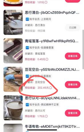 代发视频,简单易上手 3分钟发一条视频 纯小白实操日入202元-颜夕资源网-第18张图片 代发视频,简单易上手 3分钟发一条视频 纯小白实操日入202元-颜夕资源网-第18张图片