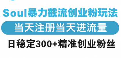 Soul暴力截流创业粉玩法,当天注册当天进流量,日稳定300+精准创业粉丝-颜夕资源网-第17张图片 Soul暴力截流创业粉玩法,当天注册当天进流量,日稳定300+精准创业粉丝-颜夕资源网-第17张图片