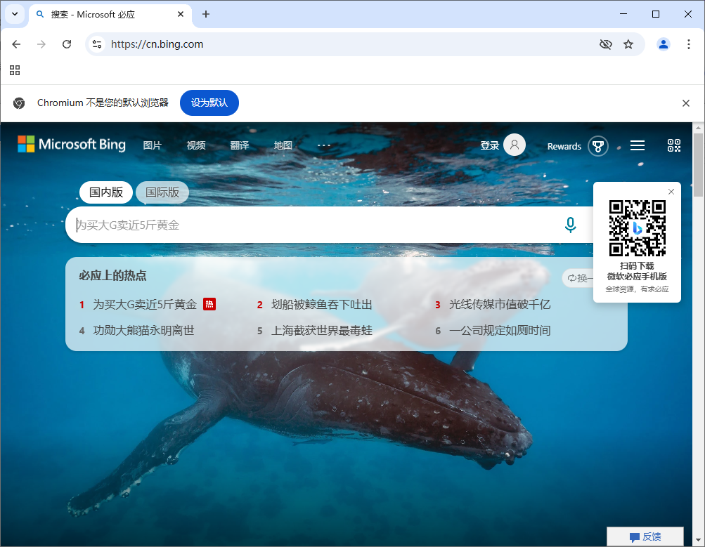 Ungoogled-Chromium v133.0.6943.98-1.1 中文绿色版-颜夕资源网-第17张图片 Ungoogled-Chromium v133.0.6943.98-1.1 中文绿色版-颜夕资源网-第17张图片