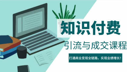 IP合伙人知识付费虚拟项目，引流与成交课程，打通商业变现全链路，实现业绩增长！-颜夕资源网-第17张图片