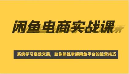 闲鱼电商实战课,系统学习高效交易,助你熟练掌握闲鱼平台的运营技巧-颜夕资源网-第17张图片 闲鱼电商实战课,系统学习高效交易,助你熟练掌握闲鱼平台的运营技巧-颜夕资源网-第17张图片