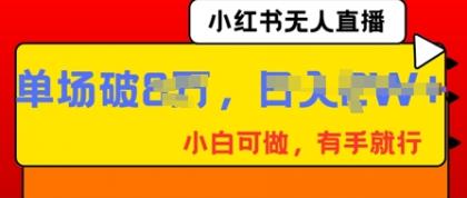 小红书无人直播,纯小白可做,有手就行,单场直播销售额破8w-颜夕资源网-第17张图片 小红书无人直播,纯小白可做,有手就行,单场直播销售额破8w-颜夕资源网-第17张图片