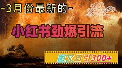 小红书的超劲爆引流方法方式,图文并茂日引300 轻轻松松转现1W-颜夕资源网-第17张图片 小红书的超劲爆引流方法方式,图文并茂日引300 轻轻松松转现1W-颜夕资源网-第17张图片