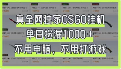 CSGO挂机,单日捡漏1000+,不用电脑,不用养号-颜夕资源网-第17张图片 CSGO挂机,单日捡漏1000+,不用电脑,不用养号-颜夕资源网-第17张图片