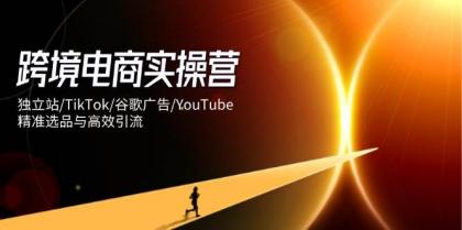 跨境电商实操营:独立站/TikTok/谷歌广告/YouTube,精准选品与高效引流-颜夕资源网-第17张图片 跨境电商实操营:独立站/TikTok/谷歌广告/YouTube,精准选品与高效引流-颜夕资源网-第17张图片