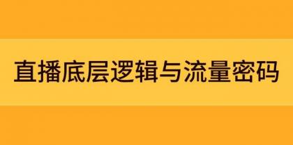 直播底层逻辑与流量密码:定位模型+案例拆解,急速流承接与数据优化全攻略-颜夕资源网-第17张图片 直播底层逻辑与流量密码:定位模型+案例拆解,急速流承接与数据优化全攻略-颜夕资源网-第17张图片