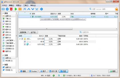 qBittorrent(强大的BT下载工具)v5.1.0.10中文绿色增强版-颜夕资源网-第17张图片 qBittorrent(强大的BT下载工具)v5.1.0.10中文绿色增强版-颜夕资源网-第17张图片