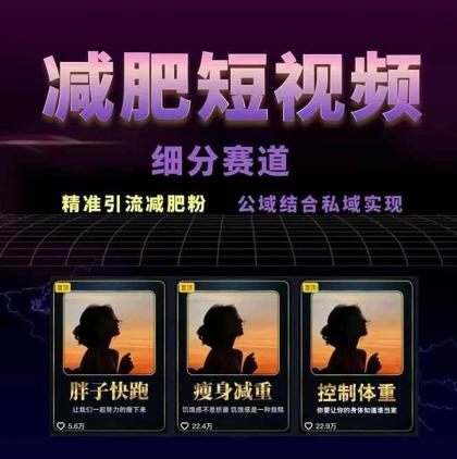 减肥短视频运营实战课:含素材制作、剪映教学,讲精准引流、变现设计与内容模板技巧-颜夕资源网-第18张图片 减肥短视频运营实战课:含素材制作、剪映教学,讲精准引流、变现设计与内容模板技巧-颜夕资源网-第18张图片
