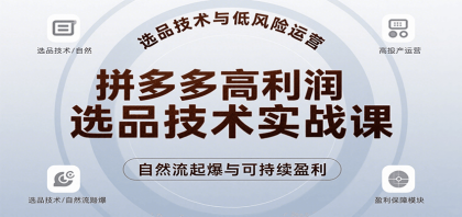 拼多多高利润选品技术实战课,手把手教学自然流高投产起爆,实现低风险可持续盈利-颜夕资源网-第17张图片 拼多多高利润选品技术实战课,手把手教学自然流高投产起爆,实现低风险可持续盈利-颜夕资源网-第17张图片