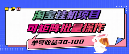 揭秘2025最新淘宝挂机项目，单号30-100，可矩阵批量操作（附工具）-颜夕资源网-第17张图片