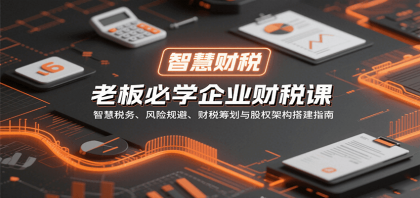 老板必学企业财税课：智慧税务、风险规避、财税筹划与股权架构搭建指南-颜夕资源网-第17张图片