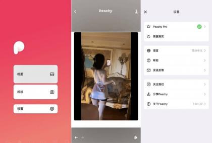 peachy抠图、P图、滤镜解锁会员版-颜夕资源网-第17张图片 peachy抠图、P图、滤镜解锁会员版-颜夕资源网-第17张图片