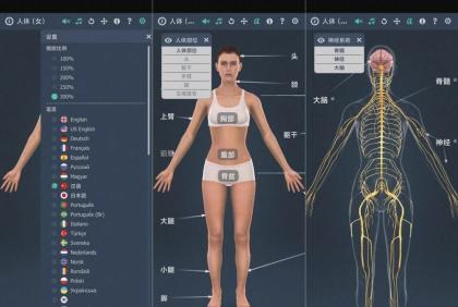 人体系统女性3D-1.0详细介绍女性全身系统~无广版-颜夕资源网-第17张图片 人体系统女性3D-1.0详细介绍女性全身系统~无广版-颜夕资源网-第17张图片