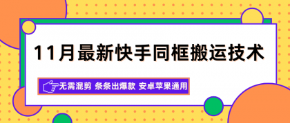 11月最新快手同框搬运技术，无需混剪 条条出爆款 安卓苹果通用-颜夕资源网-第17张图片