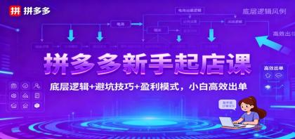 拼多多新手起店课:底层逻辑+避坑技巧+盈利模式,小白高效出单-颜夕资源网-第17张图片 拼多多新手起店课:底层逻辑+避坑技巧+盈利模式,小白高效出单-颜夕资源网-第17张图片