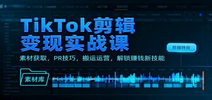 TikTok剪辑变现实战课：素材获取，PR技巧，搬运运营，解锁赚钱新技能-颜夕资源网-第17张图片