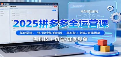 2025拼多多全运营课:基础搭建,强/弱付费/自然流,黑科技 + 切车/旺季爆单-颜夕资源网-第17张图片 2025拼多多全运营课:基础搭建,强/弱付费/自然流,黑科技 + 切车/旺季爆单-颜夕资源网-第17张图片