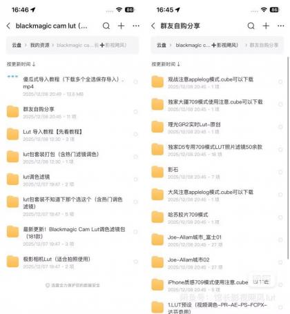 Blackmagic Cam Lut包影视飓风+馆长Lut 木木等滤镜包-颜夕资源网-第18张图片 Blackmagic Cam Lut包影视飓风+馆长Lut 木木等滤镜包-颜夕资源网-第18张图片