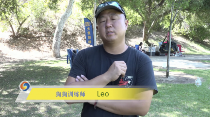 宠物训练-训狗教程Dog Training-颜夕资源网-第17张图片 宠物训练-训狗教程Dog Training-颜夕资源网-第17张图片