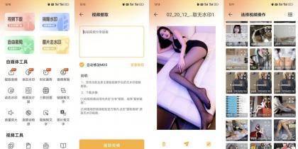 视频下载去水印22支持全网主流平台秒解析解锁会员-颜夕资源网-第17张图片 视频下载去水印22支持全网主流平台秒解析解锁会员-颜夕资源网-第17张图片