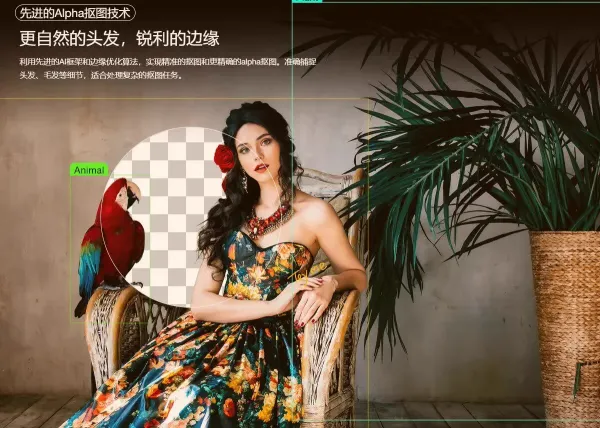 智能抠图 Matting2.6 一键快速抠图 PS 修图影楼设计 AI 抠图工具-颜夕资源网-第19张图片 智能抠图 Matting2.6 一键快速抠图 PS 修图影楼设计 AI 抠图工具-颜夕资源网-第19张图片