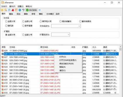 zRenamer批量改名工具中文版 v2.0.0绿色版-颜夕资源网-第18张图片