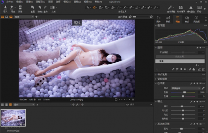 Capture One 23 RAW图像处理软件 v16.8.2.3615 中文破解版